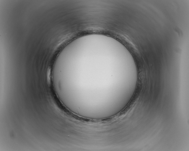 X0000111650024200907171108