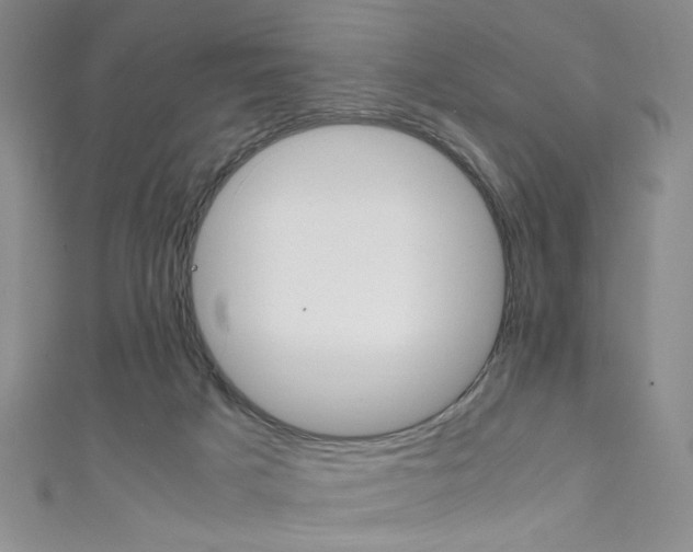 X0000111650025200907171108