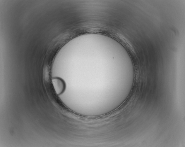 X0000111650026200907171108