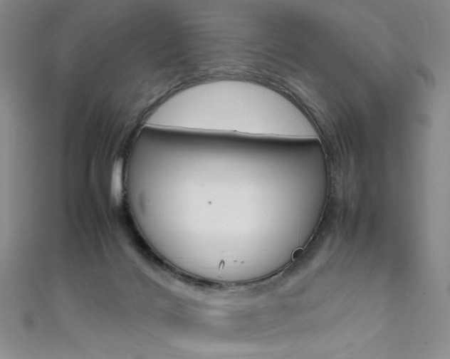 X0000111650028200907171108