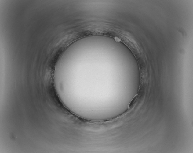 X0000111650029200907171108