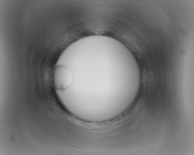 X0000111650030200907171108