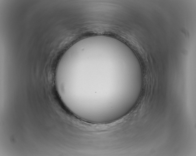 X0000111650031200907171108
