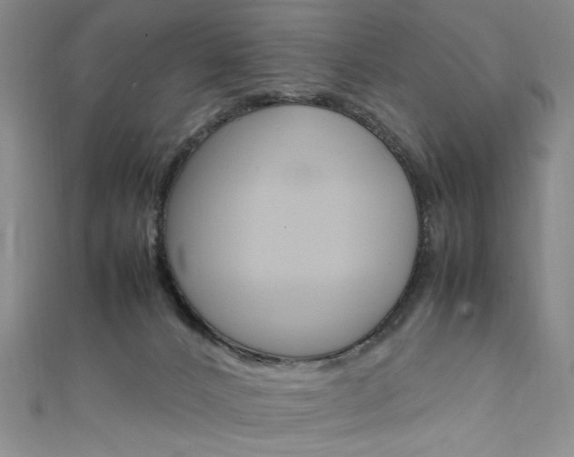 X0000111650032200907171108