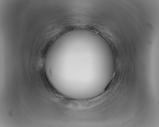 X0000111650033200907171108