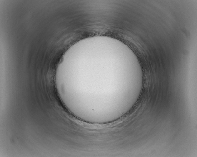 X0000111650034200907171108