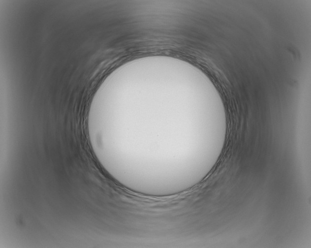 X0000111650035200907171108
