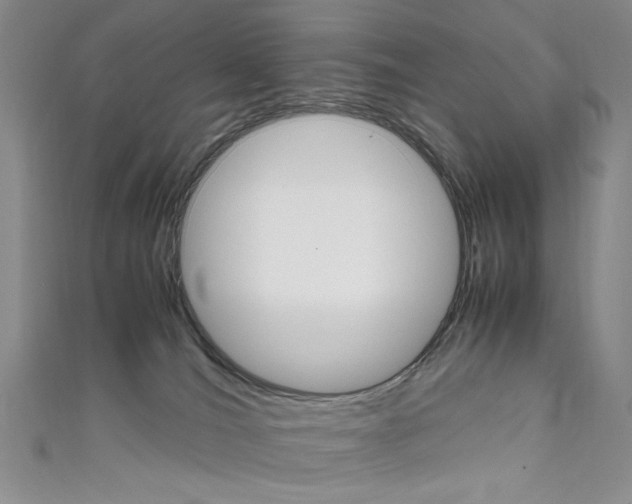 X0000111650036200907171108