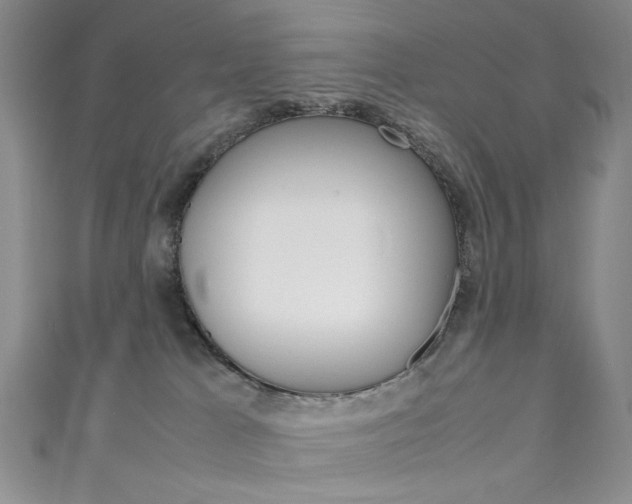 X0000111650037200907171108