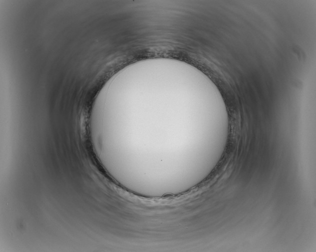 X0000111650038200907171108