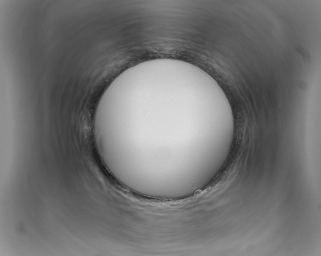 X0000111650040200907171108