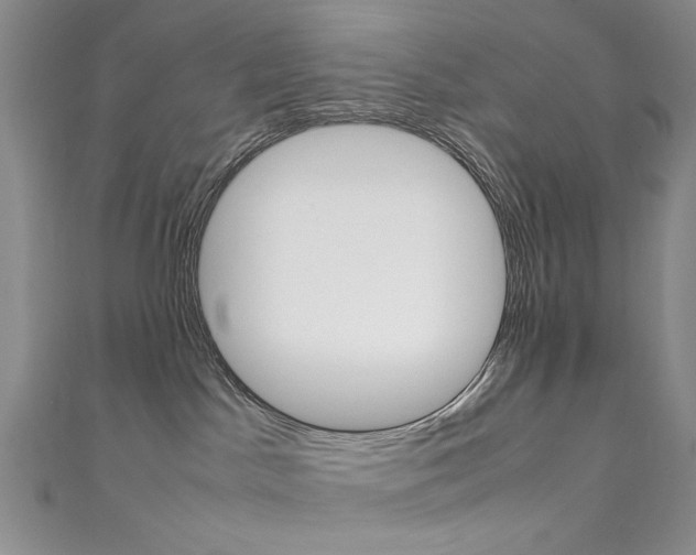 X0000111650045200907171108