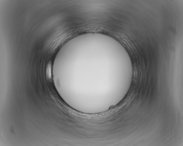 X0000111650046200907171108