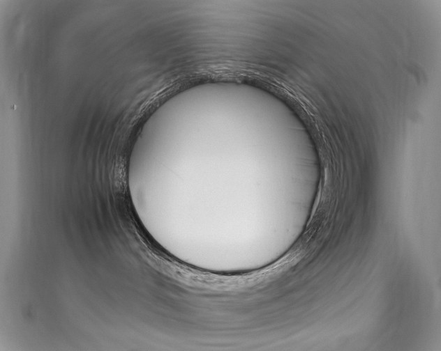 X0000111650048200907171108