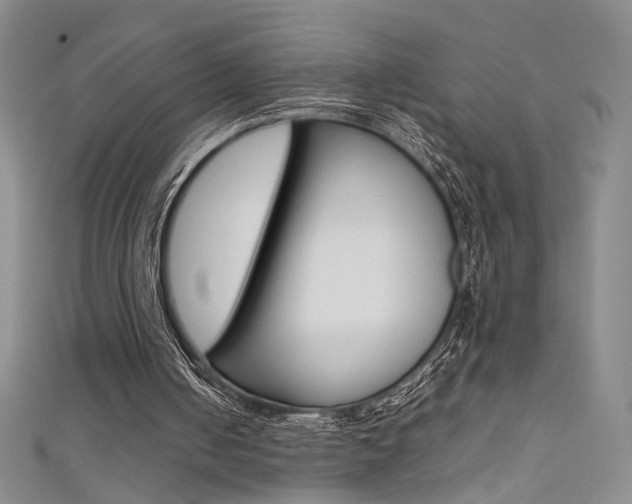 X0000111650050200907171107