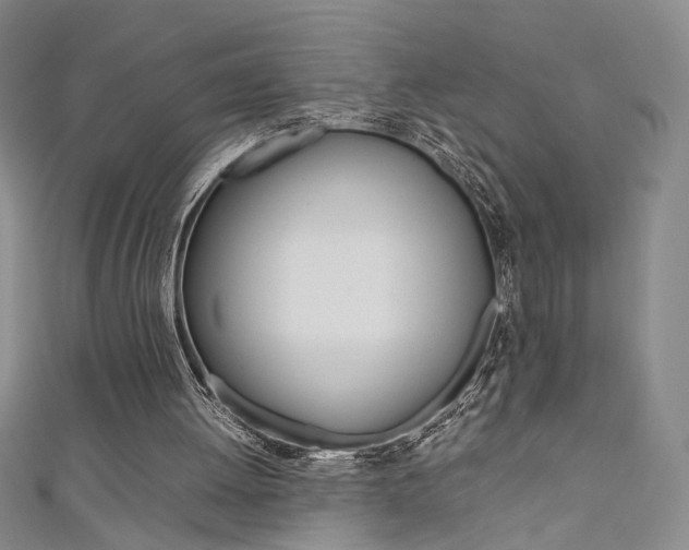 X0000111650052200907171107