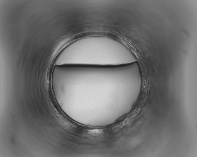 X0000111650053200907171107
