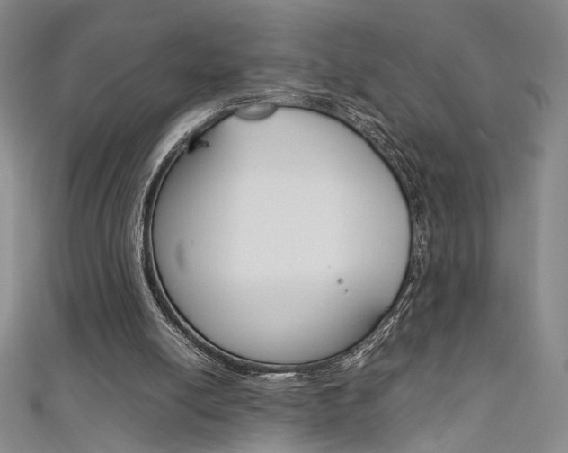 X0000111650054200907171107