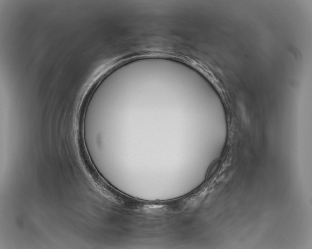 X0000111650055200907171107