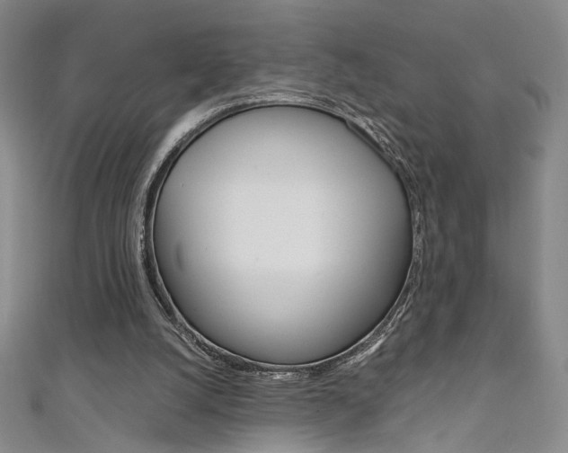 X0000111650056200907171107