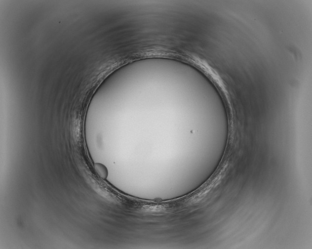 X0000111650057200907171107