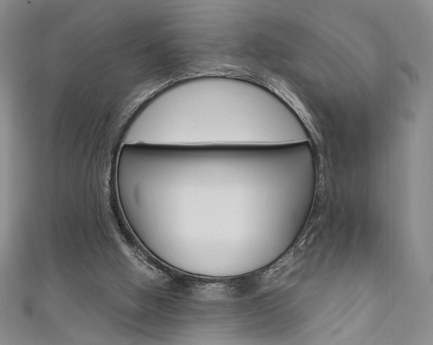 X0000111650058200907171107