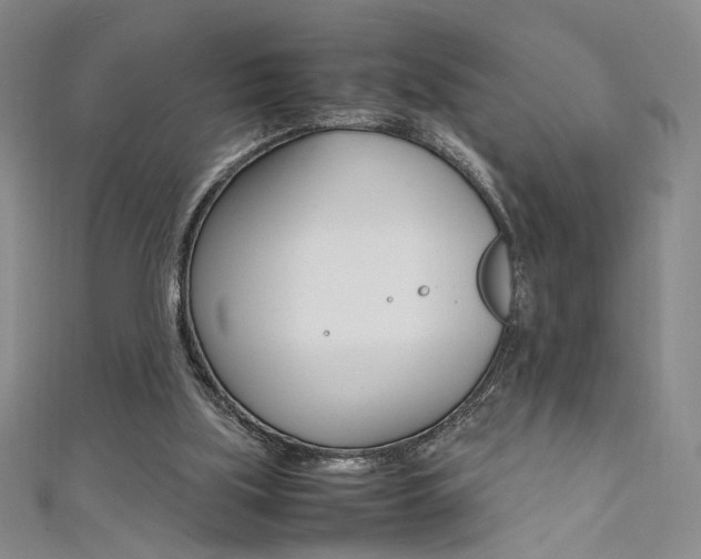 X0000111650059200907171107
