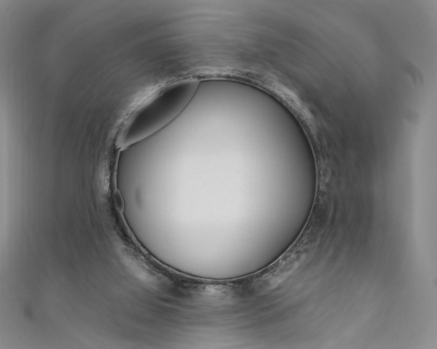 X0000111650060200907171107