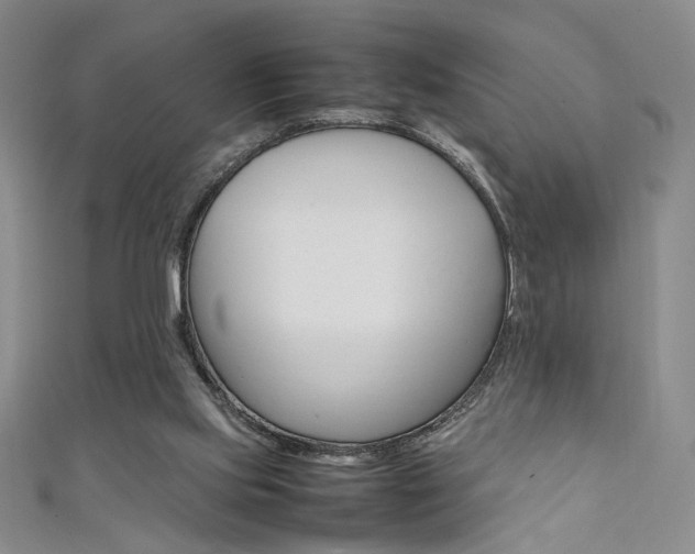 X0000111650061200907171107