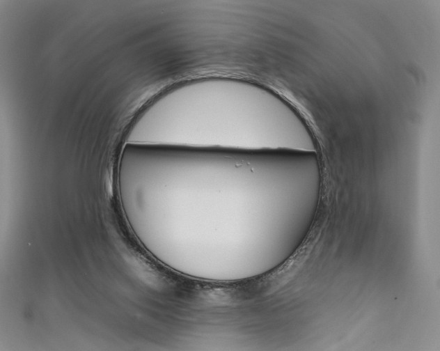 X0000111650062200907171107