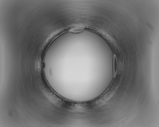 X0000111650064200907171107
