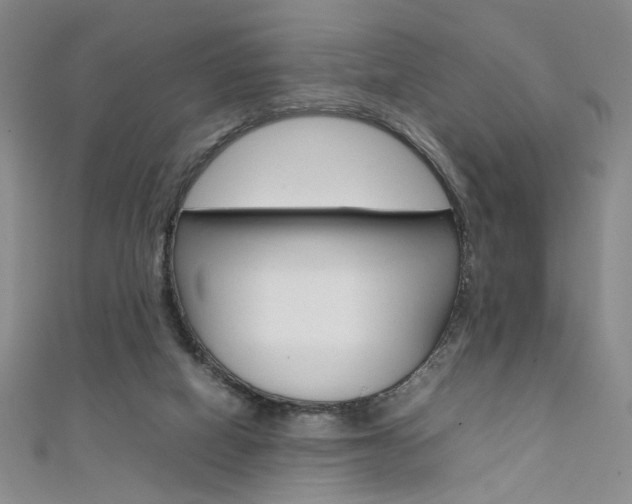 X0000111650066200907171107