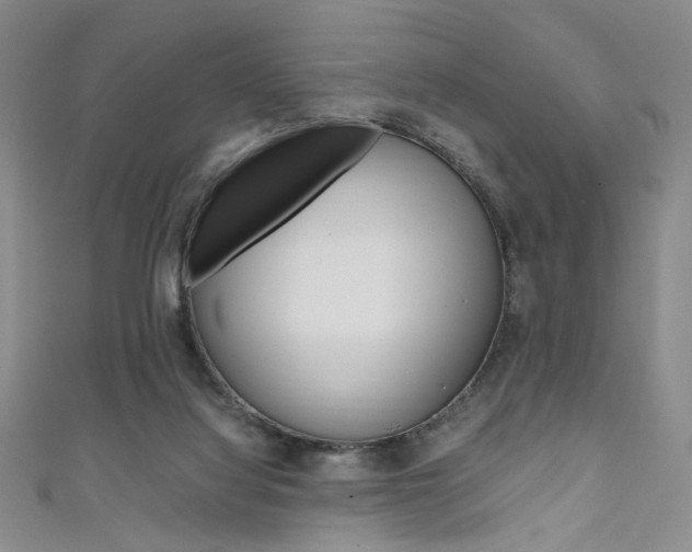 X0000111650068200907171107