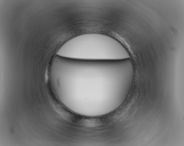 X0000111650069200907171107
