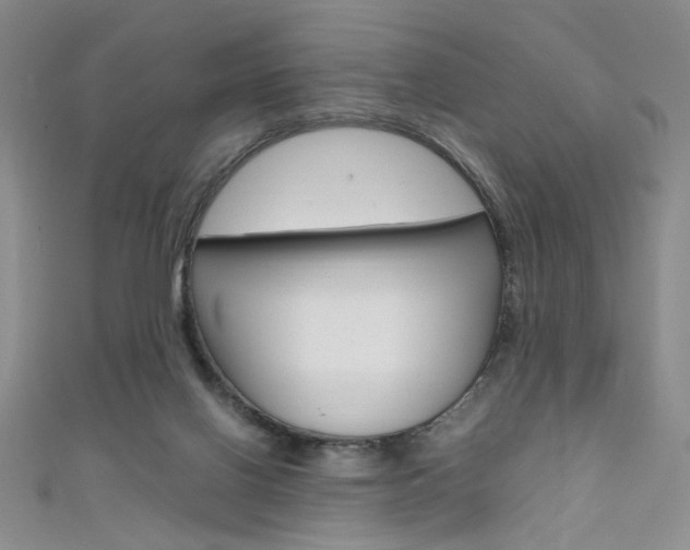X0000111650070200907171108