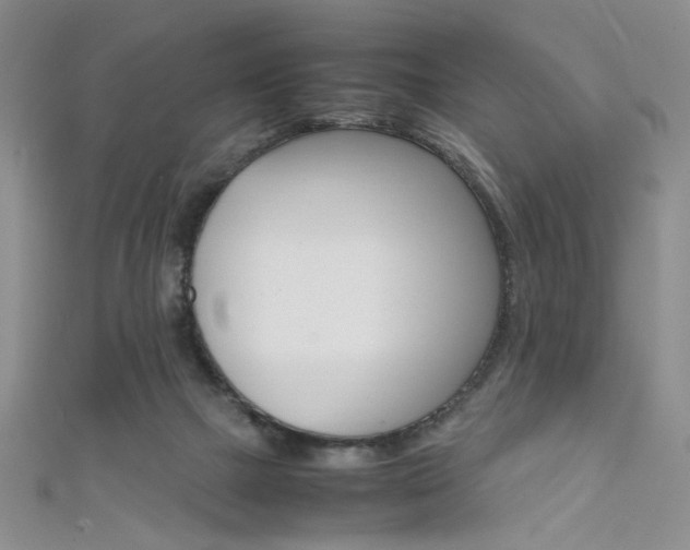 X0000111650073200907171108