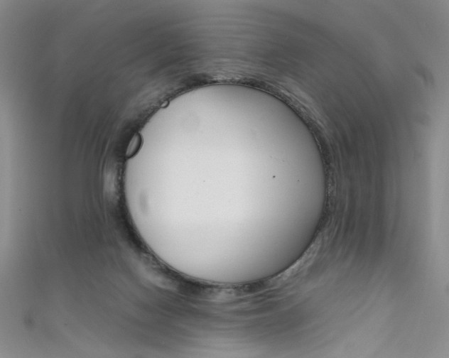 X0000111650074200907171108