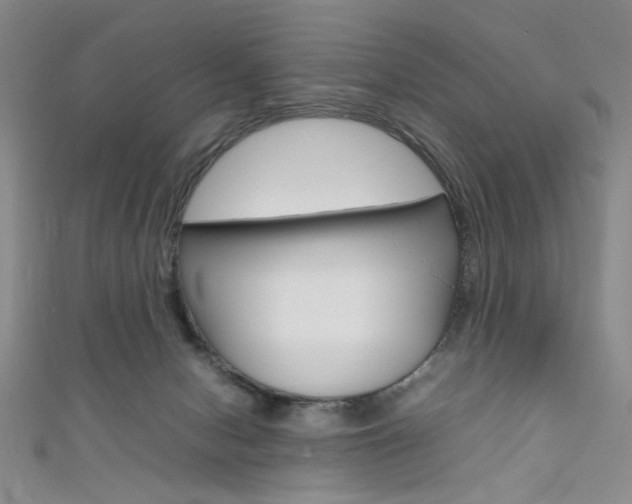 X0000111650078200907171108