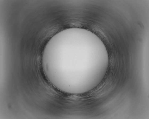 X0000111650079200907171108