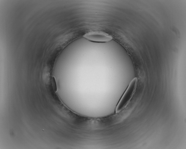 X0000111650080200907171108