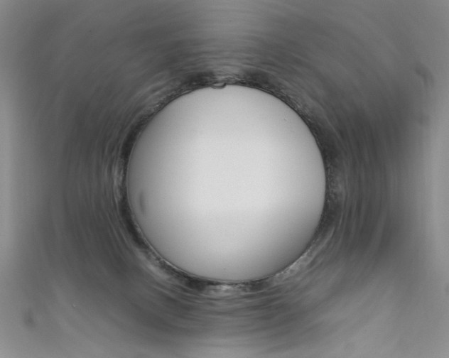 X0000111650082200907171108