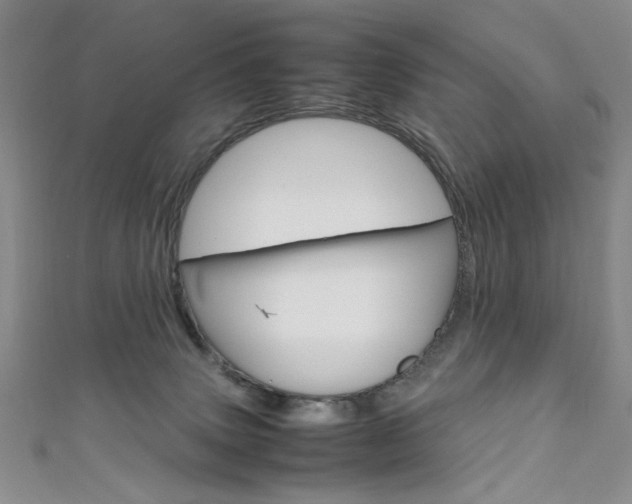 X0000111650083200907171108