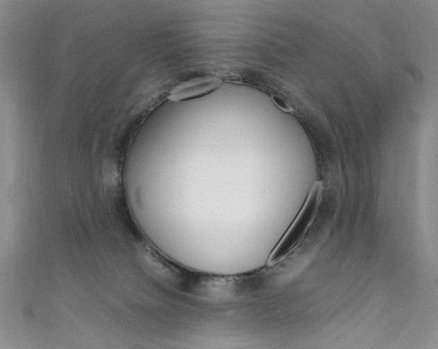 X0000111650084200907171108