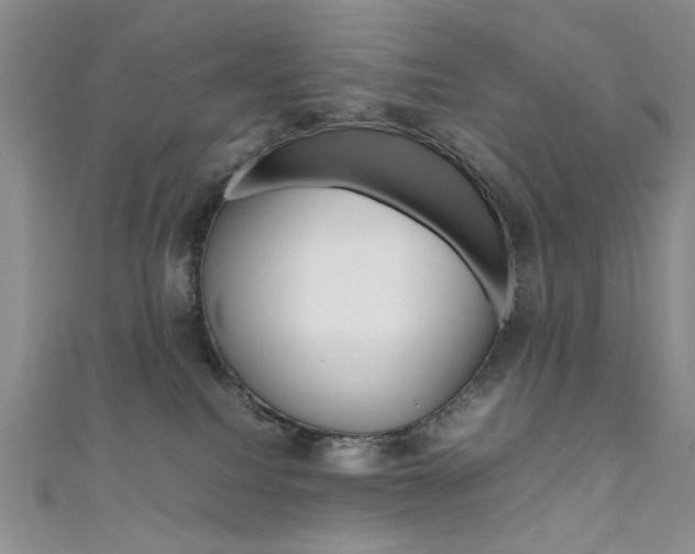 X0000111650088200907171108