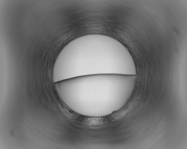 X0000111650089200907171108