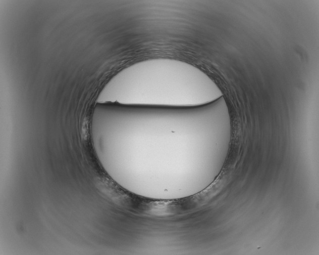 X0000111650090200907171108