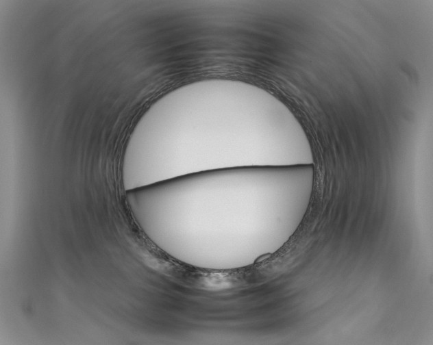 X0000111650091200907171108