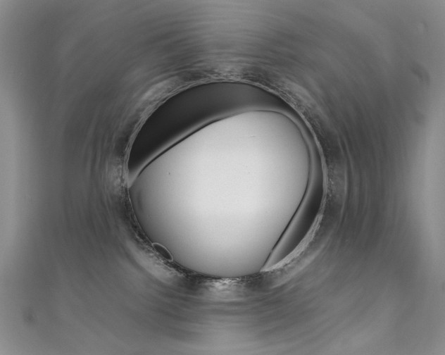 X0000111650092200907171108