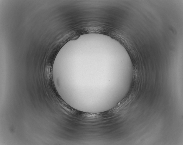 X0000111650093200907171108