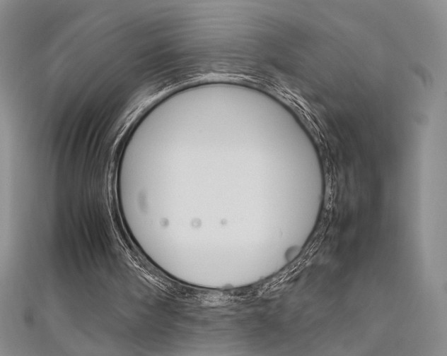 X0000111650098200907171107
